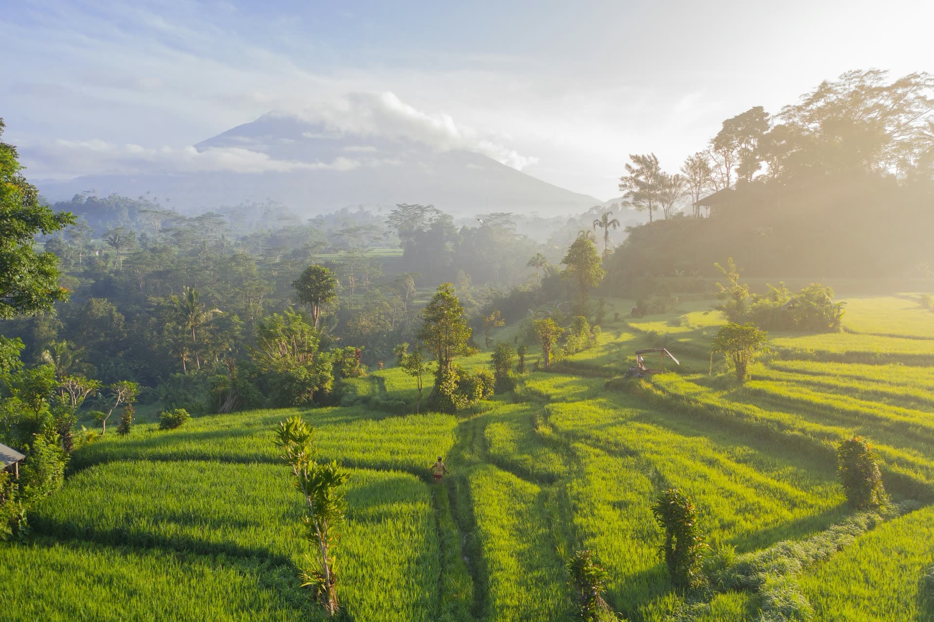 Rice terraces and Mount Agung at sunrise, Bali